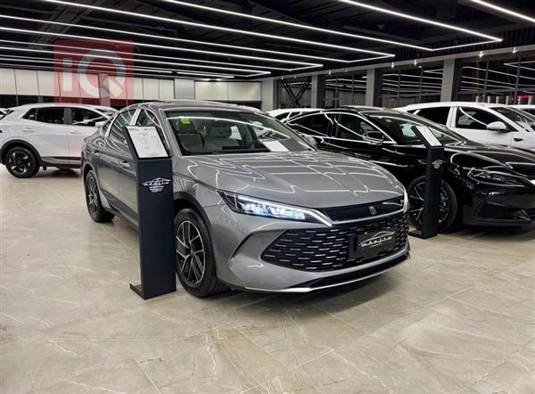 بی وای دی کوێن L DM-i 2025  بۆ فرۆشتن لە عێراق - سلێمانی